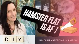 DIY; Ik maak een Hamsterflat van 4 verdiepingen