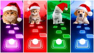 Christmas Song vs Ros&eacute; & Bruno Mars APT vs Last Christmas vs Lady Gaga -  Bloody Mary| Tiles Hop 🐱🐶🎵