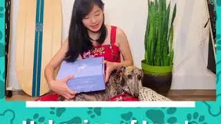 The Dapper Dog Box Unboxing - June 2020