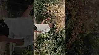 aesthetic cinematic video🔥🔥  forest 🌴#nature #naturephotography #cinematic #arijitsingh #reels
