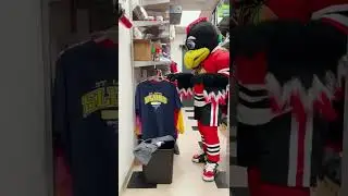 Tommy Hawk Wipes His Closet In A Full Uniform 🏑🏑🏑