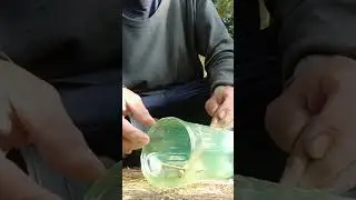 Creative bird trap idea | #trap #birds #subscribe