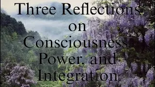 Three Reflections on Consciousness, Power, and Integration&mdash;II. On Hunger, Power, Starving of Self