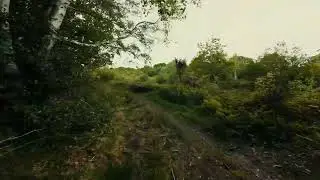 Cruising with Dji Avata 2