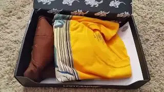 2018 Loot Crate Anime Theme Alternate Universe