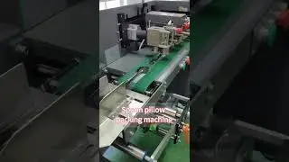 Automatic Spoon Feeding & Collecting Pillow Packing Machine