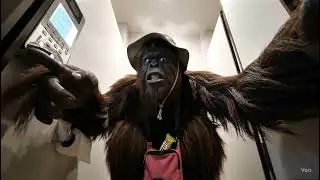 BIGFOOT VS TOKYO: Ramen Regret, Toilet Tech & Skytree Panic 😭🍜🌀