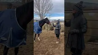 День 1 #ottb #спасение