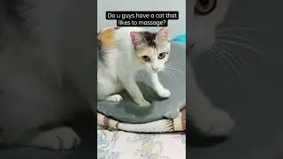 is this love?