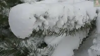 UROKI  ZIMOWYCH  DNI ... cz. I
