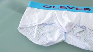 Requirement latin boxer - REF. 042001