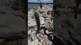 peshkim ne gjirin e lalzit bekja