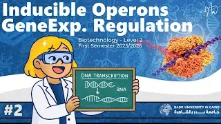 Gene Expression - Lecture 2 