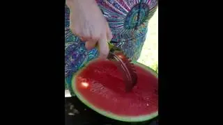 Stainless Steel Melon slicer AMAZING!