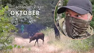 #121 - OKTOBER - achterom kijken