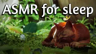 ASMR-игры: Засыпаем под звуки STRAY 🐾 | Уютный геймплей шепотом и расслабляющая атмосфера ночного...