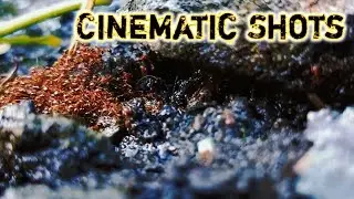 Trying out Cinematic Experience using my Smartphone Camera