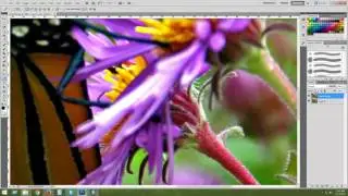 Color Splash Effect Photo Editing Tutorial