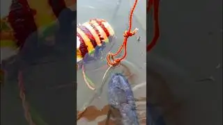 Hook Unique Traps Video With Kochu Trap #rahul fishing vlog #traps_fish#viral trinding shorts #