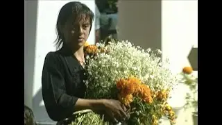 Día de Muertos - Day of the Dead