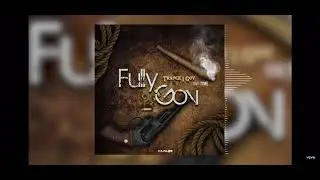 TRANCE 1GOV - FullyGov