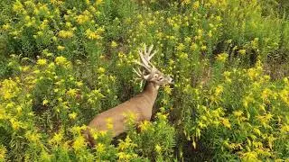 True Life Hunting Adventures Season 3 Episode 10
