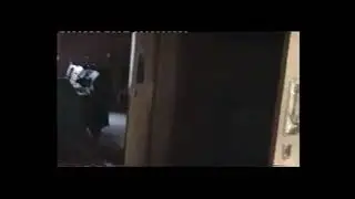 DWP Peter Schofield Fraud Theft Files DWP WOLVERHAMPTON + HSE SARAH ALBON Insolvency Service Case