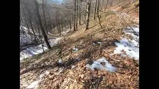 Lov na divlje svinje 2026