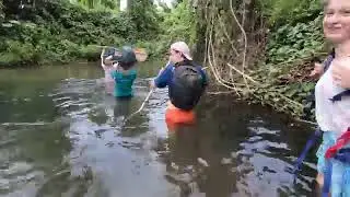 Wildlife Research expedition 