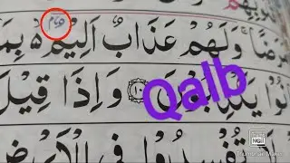 How to do Qalb when reading the Qur'an (for Beginners) #tajweed #quran #islam #islamic #arabic