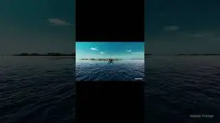 Тортуга