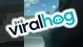 Civilian Gives Cop a Ride to Catch Suspect || ViralHog