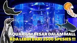 WISATA EDUKATIF JAKARTA 💡 MAIN TANK ISI HIU DAN PARI BESAR 🦈 | JAKARTA AQUARIUM & SAFARI