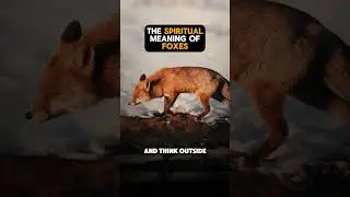 Spiritual Meaning of Foxes #spiritanimal #foxmedicine #foxes #shorts #animalspiritualmeaning #fox