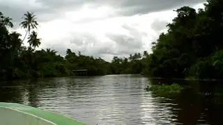 Garama Mangrove River Cruise 1