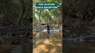 Best Resort In Sasan Gir - Gandi Gir Resort.. #sasangir #girforest #girnationalpark #sasan #gandigir