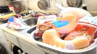 Lansing Economy Fall 2011