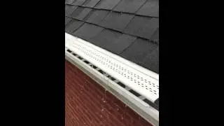 Leafree High Water Flow Demo