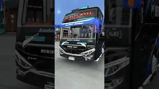 Kegantengan bus shd muride ratu