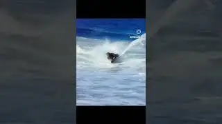 Tubo Barrel Bodyboarding BODYBOARD no off shore wind Jeff Urdan Techniques