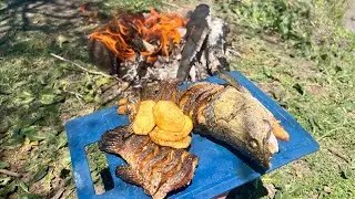 Naturaleza &ldquo;Pesca y Cocina &ldquo; &iexcl;Tarariras Explosivas! Exploraci&oacute;n, EXCELENTE RECETA