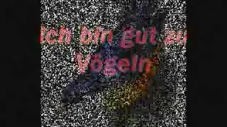 Der Falke - Ich bin gut zu V&ouml;geln