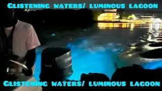 GLISTENING WATERS JAMAICA|| LUMINOUS LAGOON|| TRELAWNY
