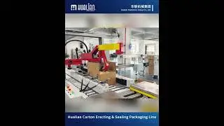 Carton Packaging Line &ndash; Smart Automation for Reliable Sealing