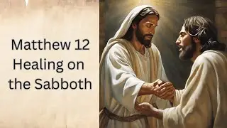 Fully Illustrated Audio Bible - Book of Matthew Chapter 12 - New Testament -