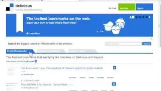 delicious: Explaining social bookmarking