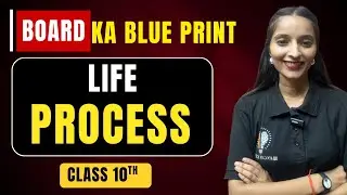 BOARD KA BLUEPRINT + LIFE PROCESSES | CLASS 10 SCIENCE | MOST IMPORTANT + FULL STRATEGY |