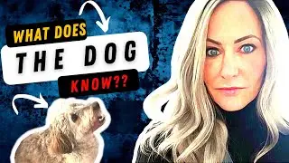 Heidi Planck - A Mysterious Disappearance & Her Body Yet To Be Found