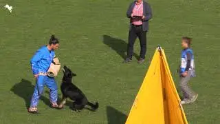 2019 WUSV WM   IGP World Cup   C