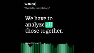 INSIGHT MOMENT: What is the insights loop?
